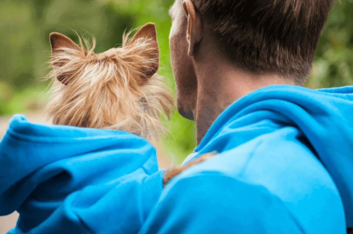 Cute Outfits with Pet